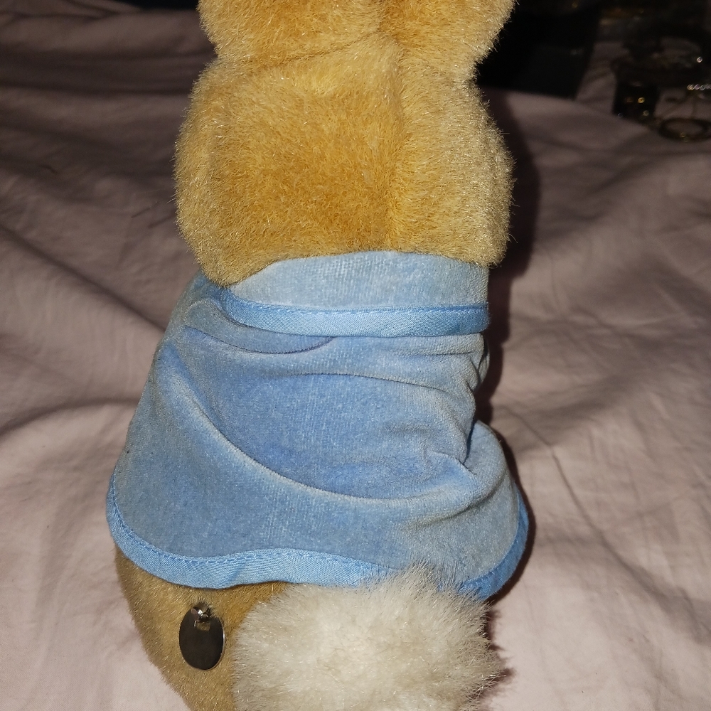 Peter Rabbit - Picture 3 of 4